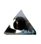 黒猫ハチワレ(てきとー)（個別スタンプ：7）