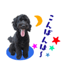 コッカプー犬ルナちゃんのスタンプ（個別スタンプ：2）