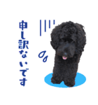 コッカプー犬ルナちゃんのスタンプ（個別スタンプ：18）