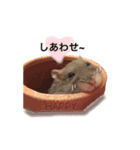 ブルーサファイアのぼんちゃま（個別スタンプ：17）