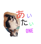れんきち（個別スタンプ：7）