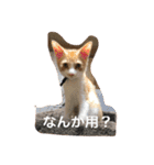inori ＆ babies vol.3（個別スタンプ：1）