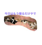 inori ＆ babies vol.3（個別スタンプ：6）