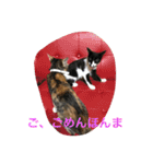 inori ＆ babies vol.3（個別スタンプ：13）