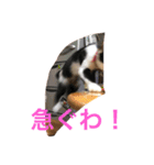 inori ＆ babies vol.3（個別スタンプ：15）