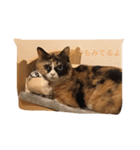 cat mike（個別スタンプ：5）