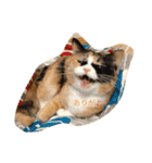 cat mike（個別スタンプ：7）