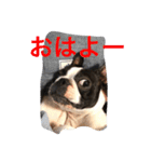 seromon（個別スタンプ：2）