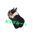 seromon（個別スタンプ：3）