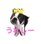 seromon（個別スタンプ：7）