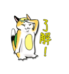 三毛かっぱ（個別スタンプ：1）