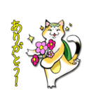 三毛かっぱ（個別スタンプ：8）
