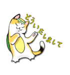 三毛かっぱ（個別スタンプ：10）