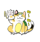 三毛かっぱ（個別スタンプ：11）
