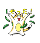 三毛かっぱ（個別スタンプ：15）