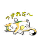 三毛かっぱ（個別スタンプ：23）