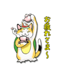 三毛かっぱ（個別スタンプ：24）