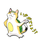 三毛かっぱ（個別スタンプ：25）