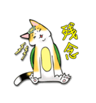 三毛かっぱ（個別スタンプ：34）