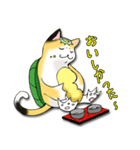 三毛かっぱ（個別スタンプ：36）