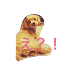 マルプーmoreの気持ちスタンプ（個別スタンプ：7）