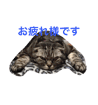 新 ニャルソック防衛隊ミミオレ部隊（個別スタンプ：4）