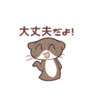 カワウソのかわいいうそ（個別スタンプ：7）