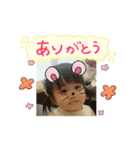 hachan312（個別スタンプ：2）