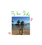 hachan312（個別スタンプ：7）