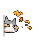 姉妹ねこ日記（個別スタンプ：1）