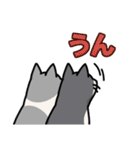 姉妹ねこ日記（個別スタンプ：4）