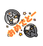 姉妹ねこ日記（個別スタンプ：6）