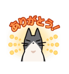 姉妹ねこ日記（個別スタンプ：7）