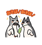 姉妹ねこ日記（個別スタンプ：9）