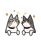 姉妹ねこ日記（個別スタンプ：10）