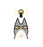 姉妹ねこ日記（個別スタンプ：12）