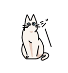 姉妹ねこ日記（個別スタンプ：13）