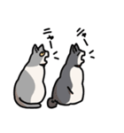 姉妹ねこ日記（個別スタンプ：14）