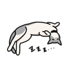 姉妹ねこ日記（個別スタンプ：19）