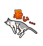 姉妹ねこ日記（個別スタンプ：21）