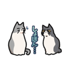 姉妹ねこ日記（個別スタンプ：22）