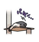 姉妹ねこ日記（個別スタンプ：24）