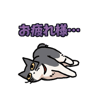 姉妹ねこ日記（個別スタンプ：25）
