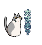 姉妹ねこ日記（個別スタンプ：27）