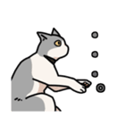 姉妹ねこ日記（個別スタンプ：29）