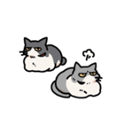 姉妹ねこ日記（個別スタンプ：30）