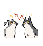 姉妹ねこ日記（個別スタンプ：33）