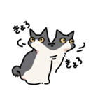 姉妹ねこ日記（個別スタンプ：34）