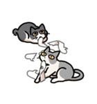 姉妹ねこ日記（個別スタンプ：37）
