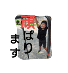 三兄弟のごあいさつスタンプ（個別スタンプ：7）